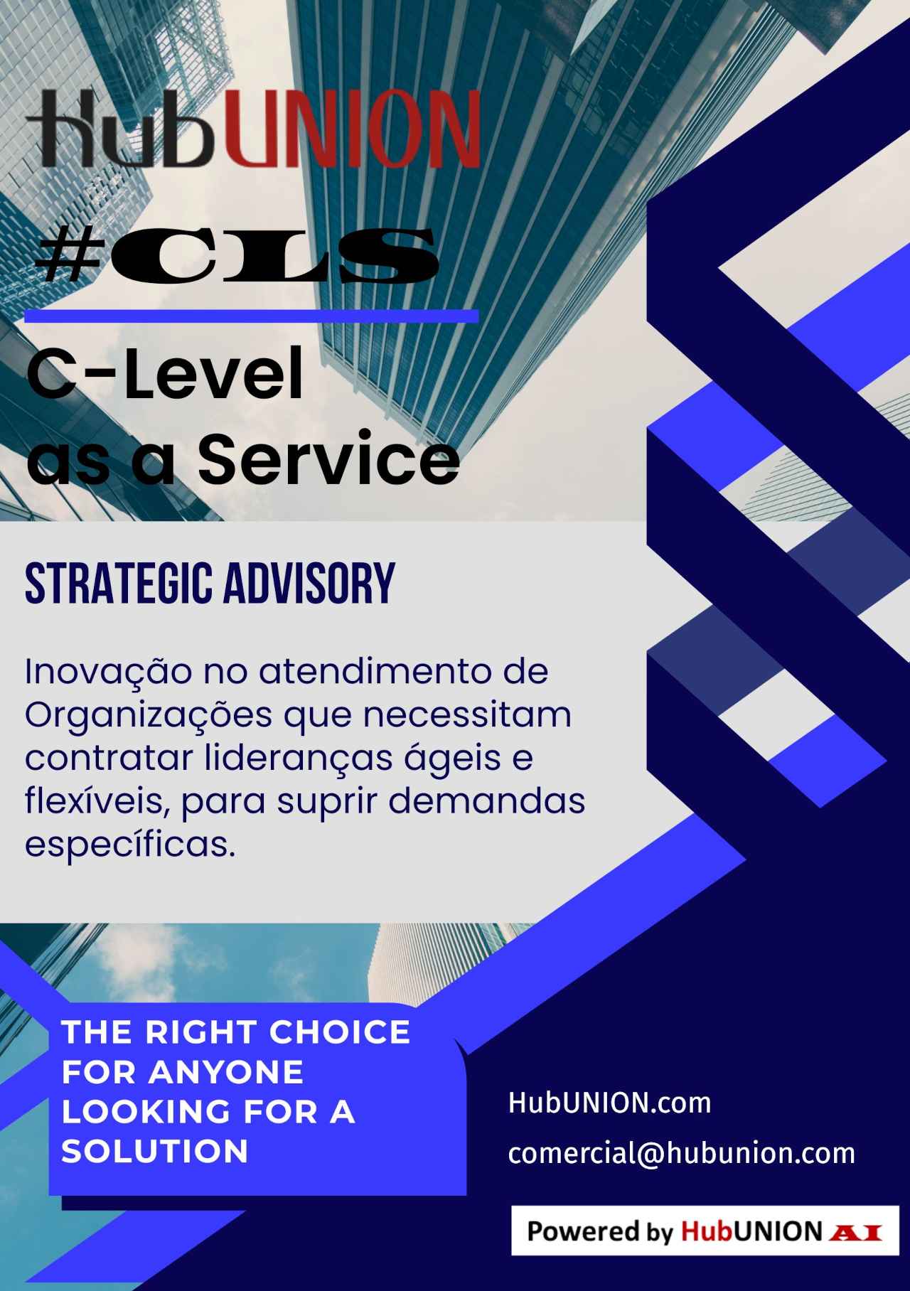 Serviço CLS - C-Level as a Service